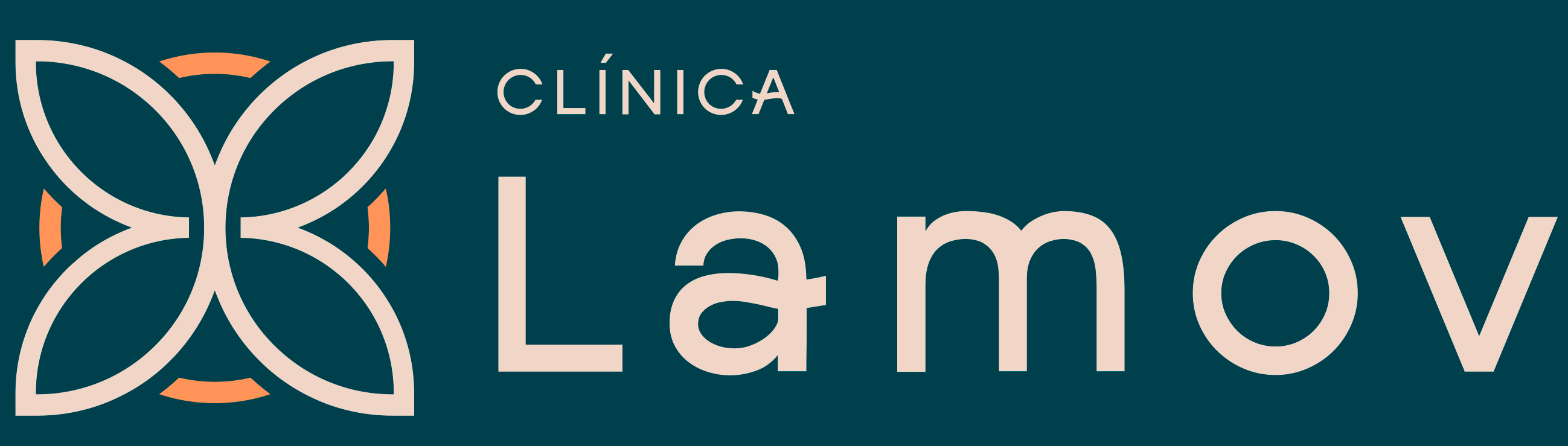 Apresentação Lamov -Compressed-8